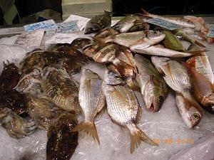 2015 06 06 et 07  ALMERIA SANTA CRUZ (19)